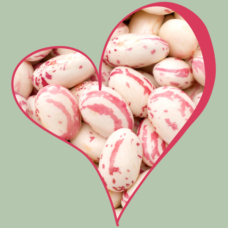 Toronto Holistic Nutritionist Laurie McPhail Beans Beans They Are Good For Your Heart