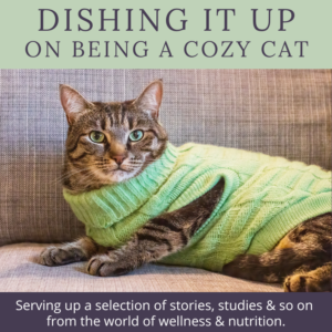 Toronto Holistic Nutritionist Laurie McPhail on Being a Cozy Cat